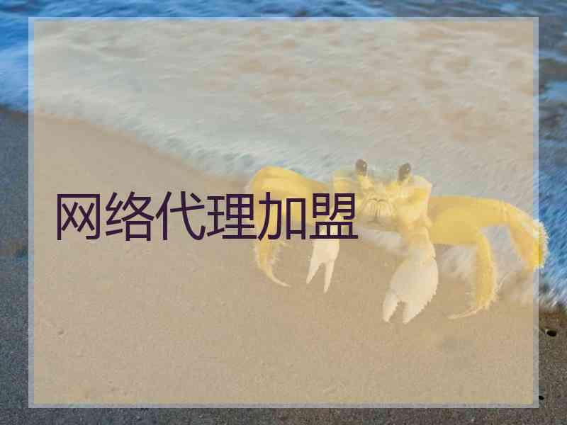 网络代理加盟