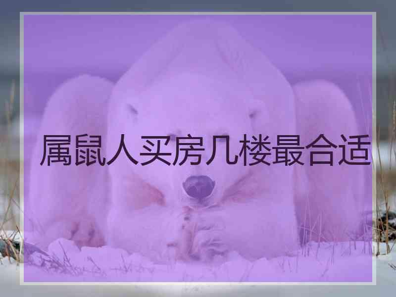 属鼠人买房几楼最合适