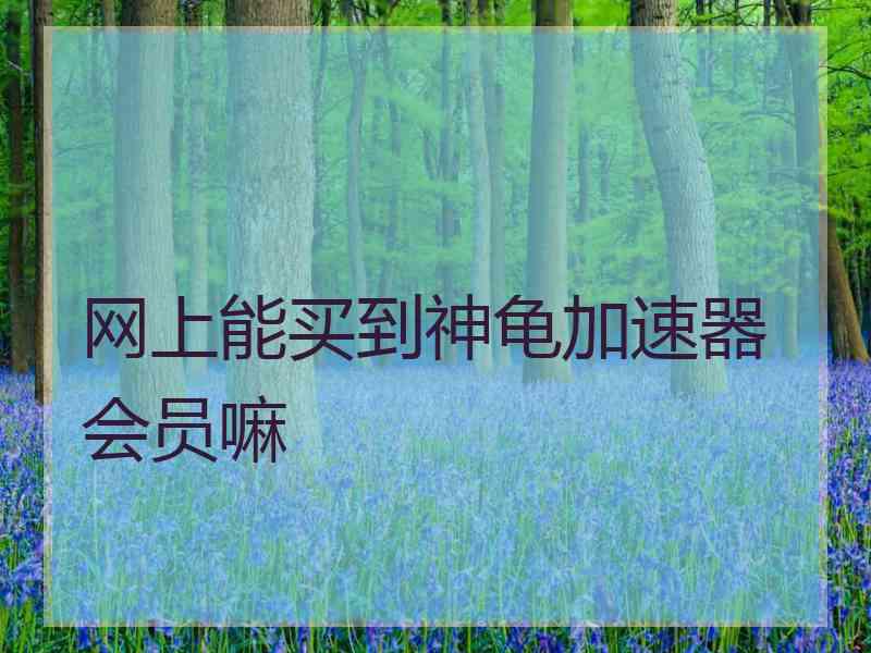 网上能买到神龟加速器会员嘛