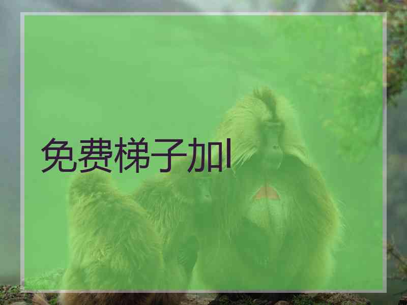 免费梯子加l