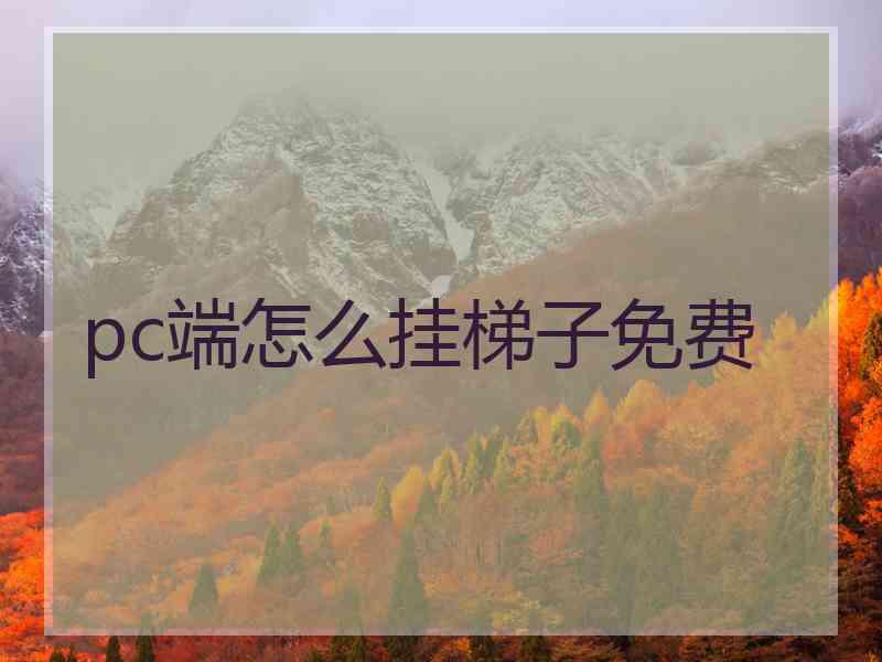 pc端怎么挂梯子免费