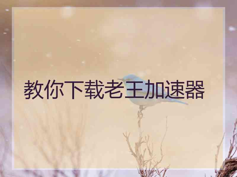 教你下载老王加速器