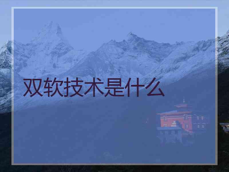 双软技术是什么