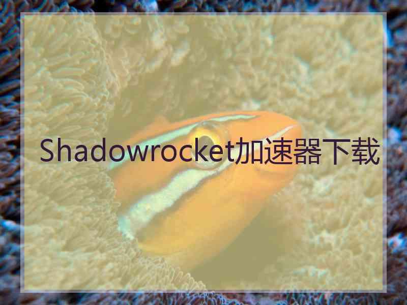 Shadowrocket加速器下载