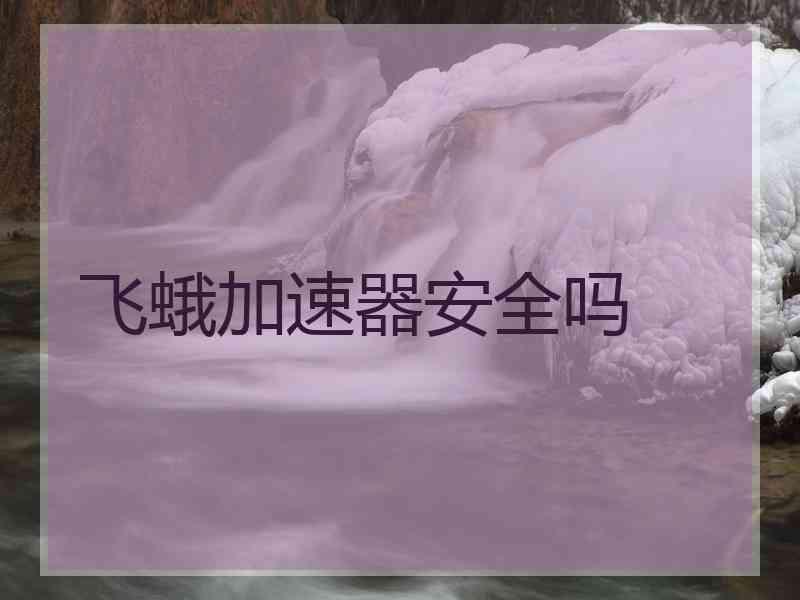 飞蛾加速器安全吗
