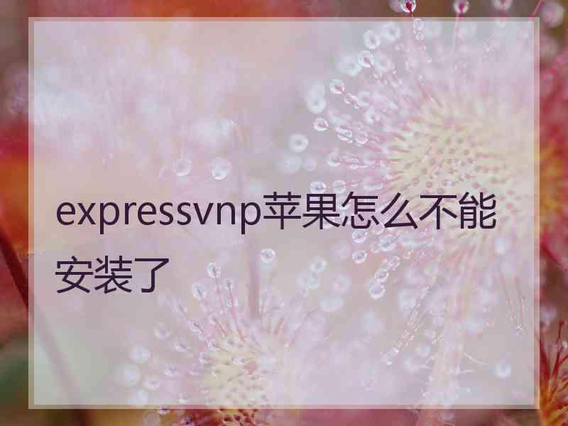 expressvnp苹果怎么不能安装了