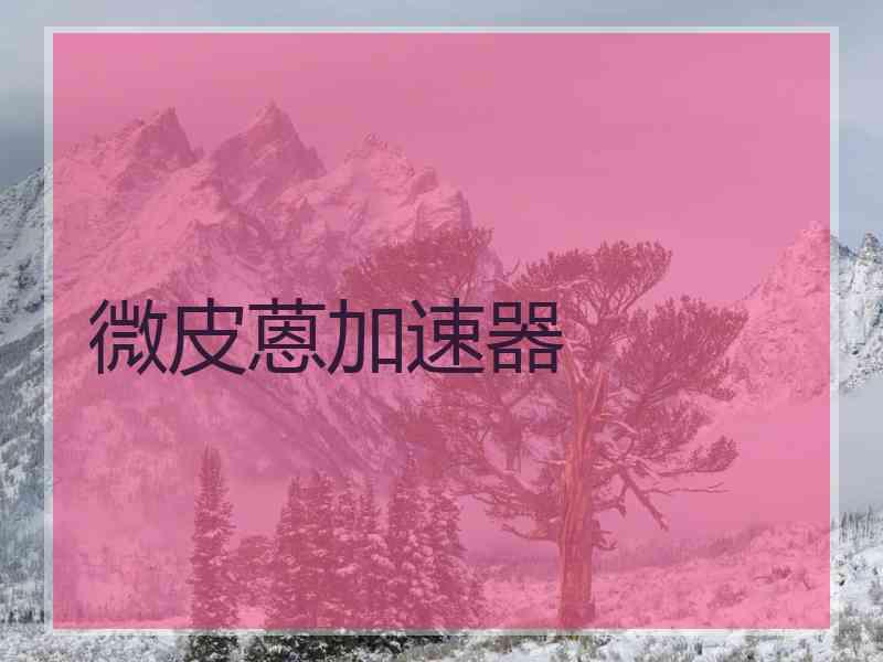 微皮蒽加速器