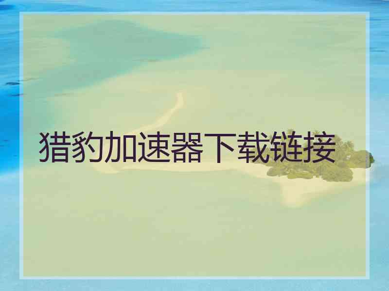 猎豹加速器下载链接