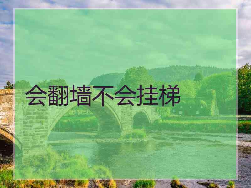 会翻墙不会挂梯