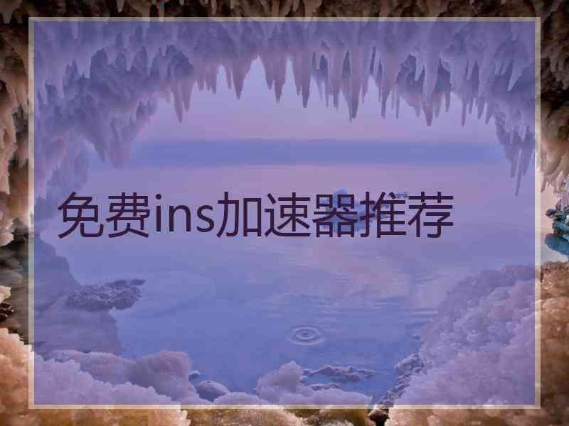 免费ins加速器推荐