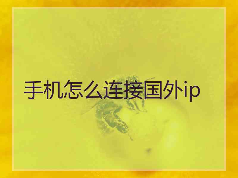 手机怎么连接国外ip