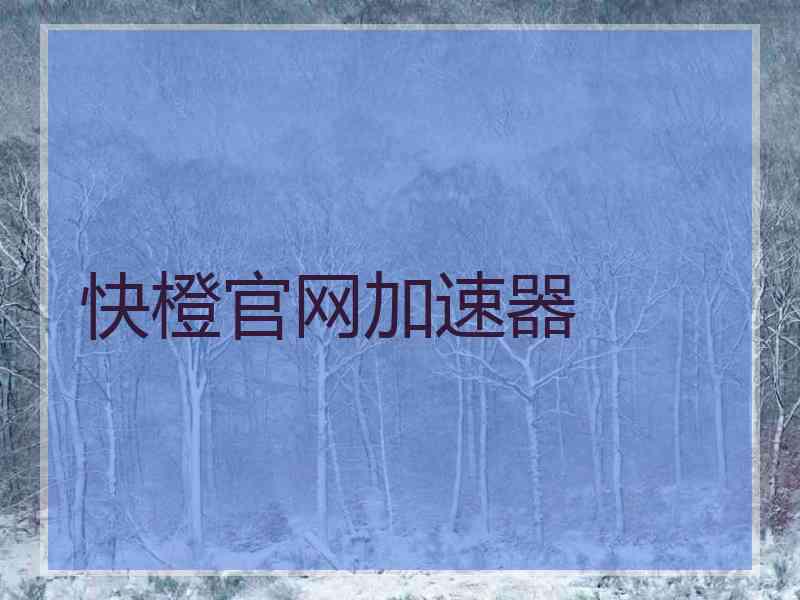 快橙官网加速器
