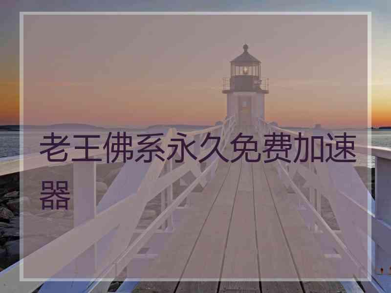 老王佛系永久免费加速器