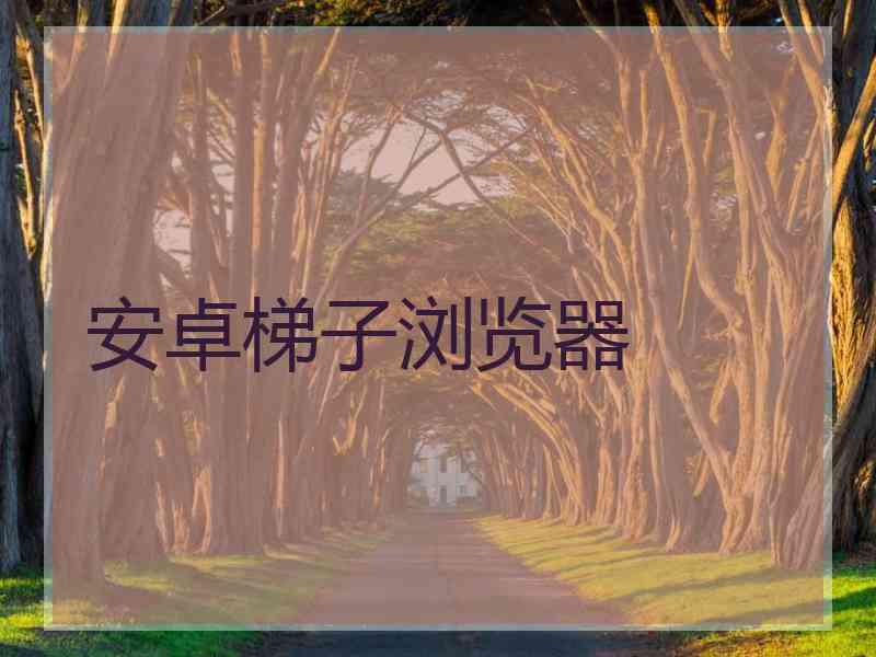 安卓梯子浏览器