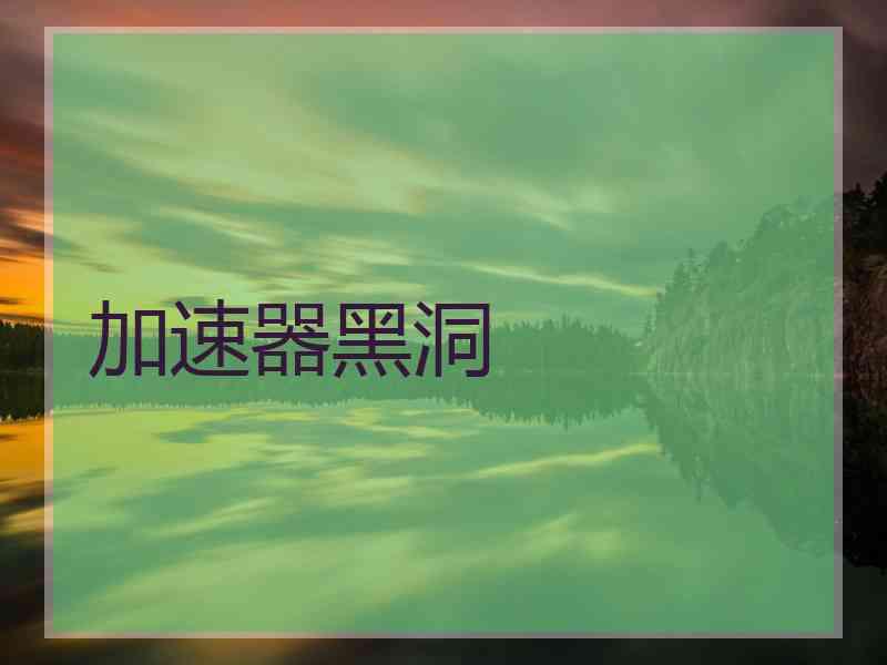 加速器黑洞