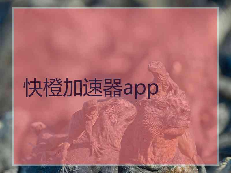 快橙加速器app