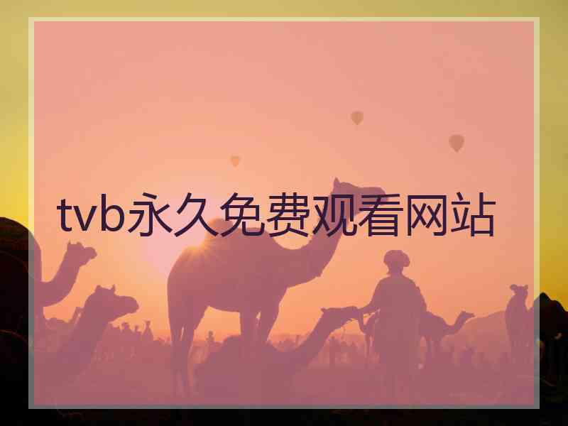 tvb永久免费观看网站