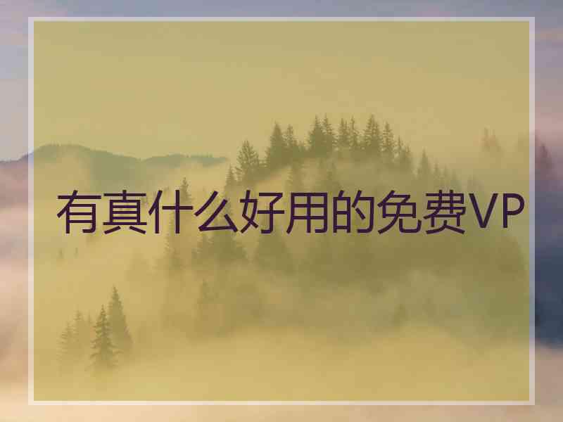 有真什么好用的免费VP