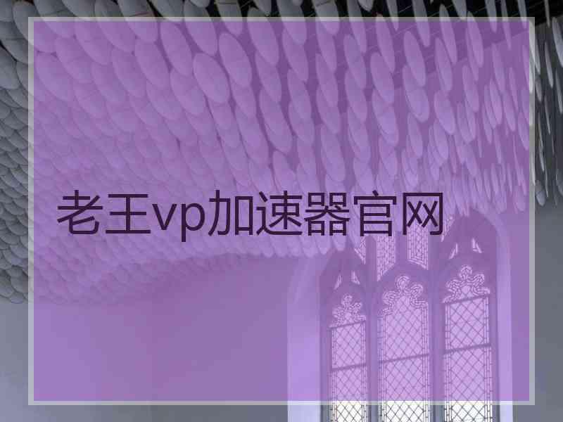 老王vp加速器官网