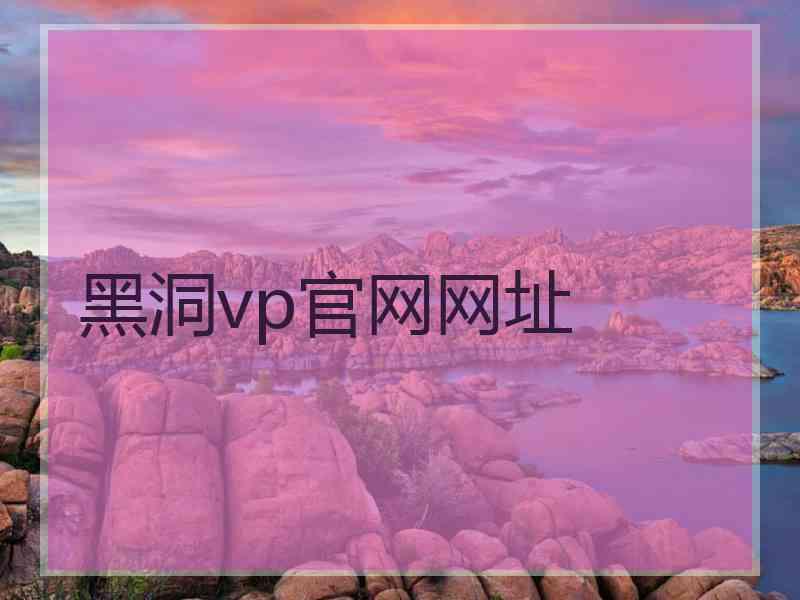 黑洞vp官网网址