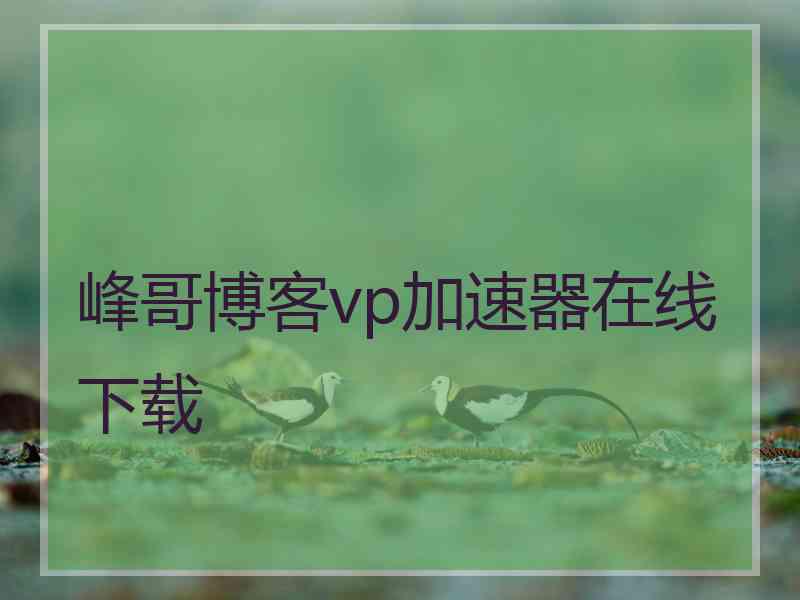 峰哥博客vp加速器在线下载