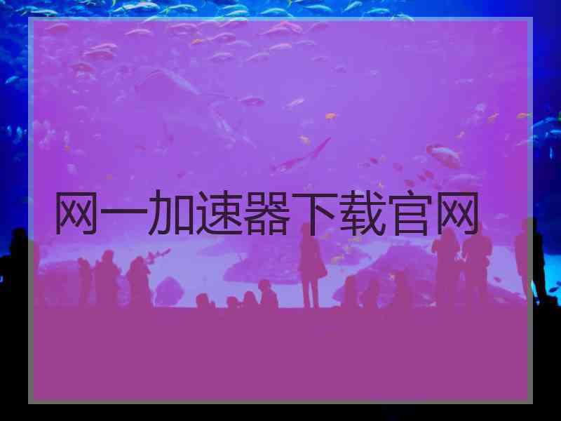 网一加速器下载官网