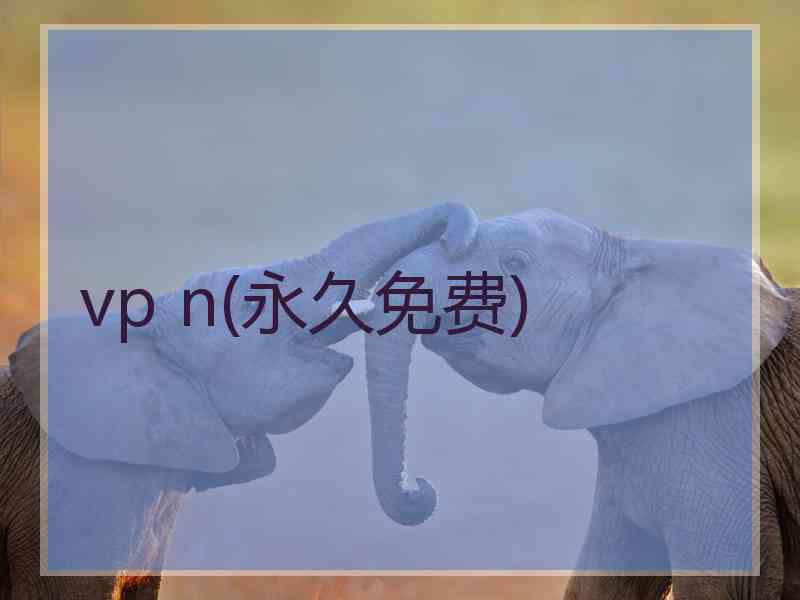 vp n(永久免费)
