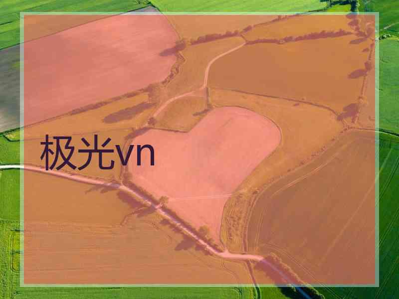 极光vn
