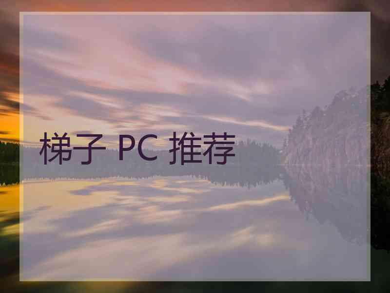 梯子 PC 推荐