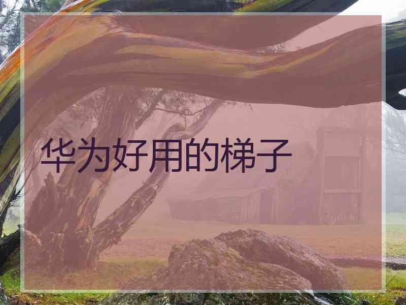华为好用的梯子
