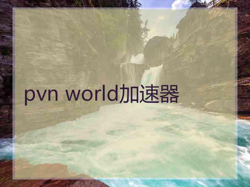 pvn world加速器