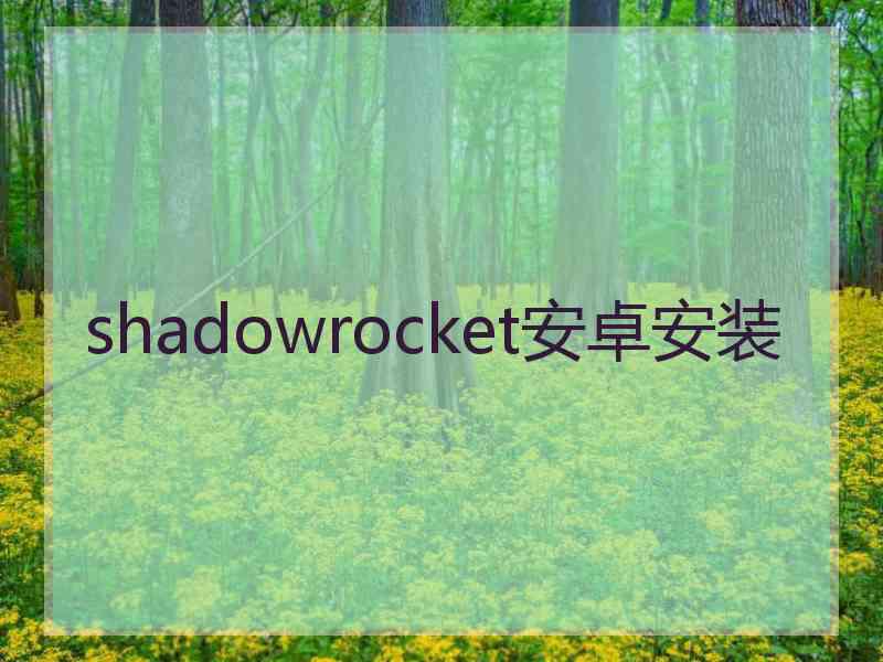 shadowrocket安卓安装