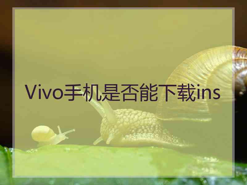Vivo手机是否能下载ins
