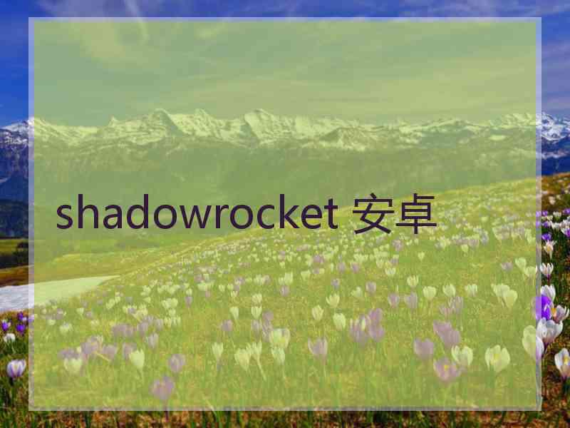 shadowrocket 安卓