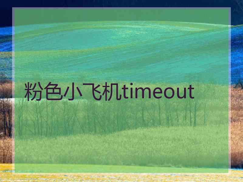 粉色小飞机timeout