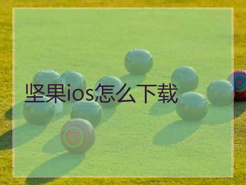 坚果ios怎么下载