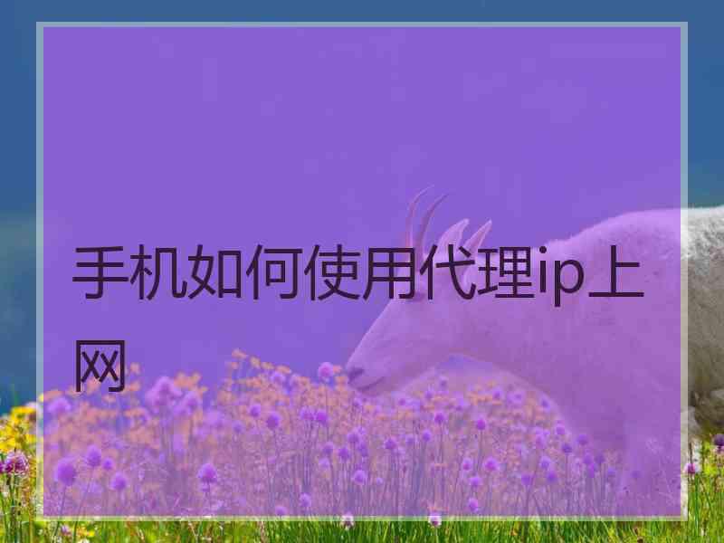 手机如何使用代理ip上网