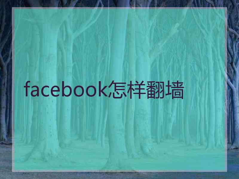 facebook怎样翻墙