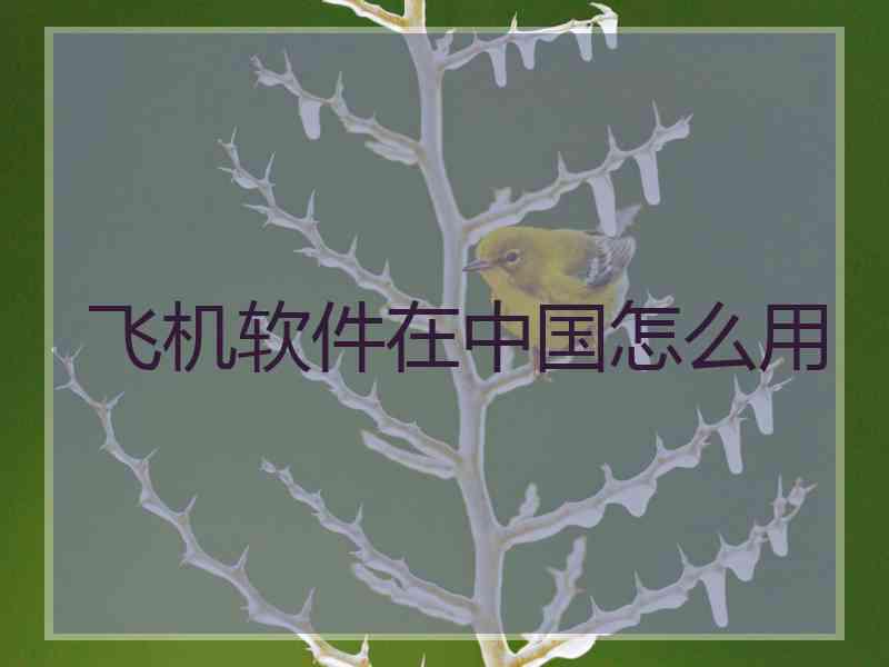 飞机软件在中国怎么用