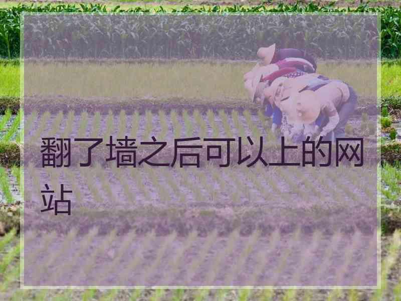 翻了墙之后可以上的网站