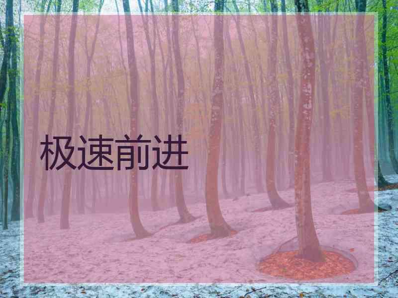 极速前进