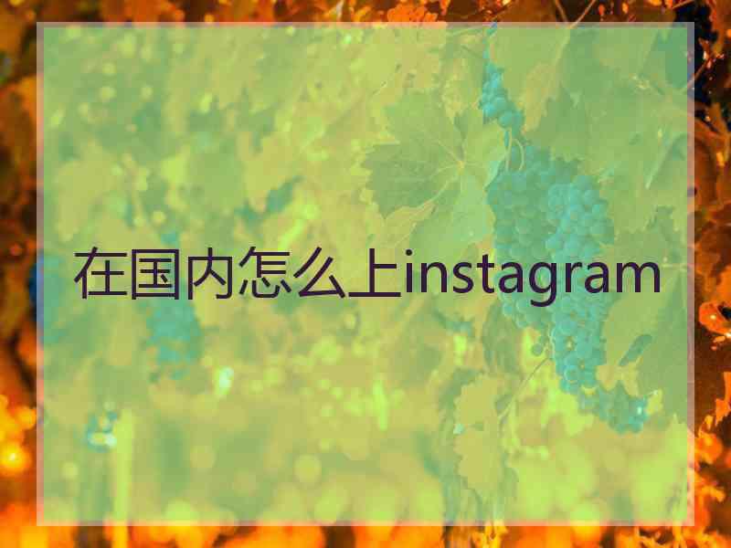 在国内怎么上instagram