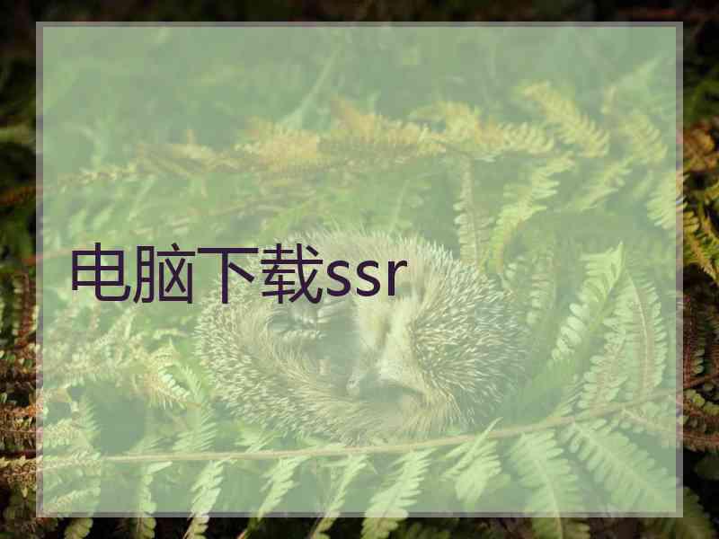 电脑下载ssr