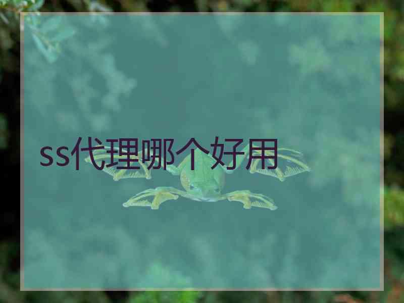 ss代理哪个好用