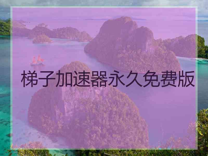 梯子加速器永久免费版
