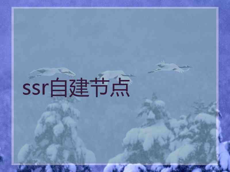 ssr自建节点