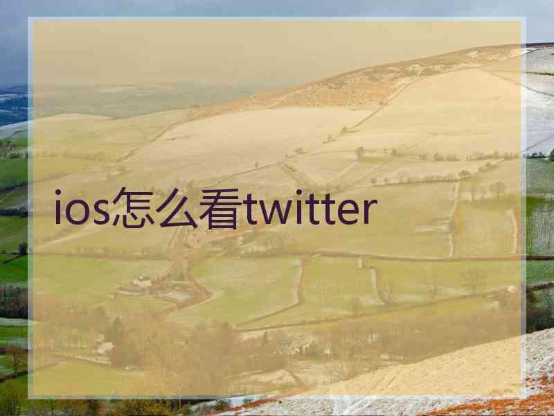 ios怎么看twitter