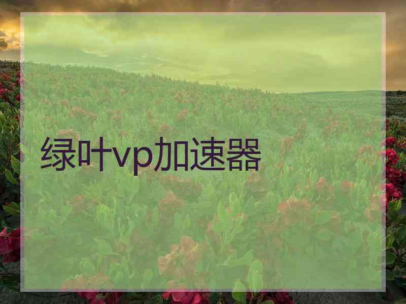 绿叶vp加速器
