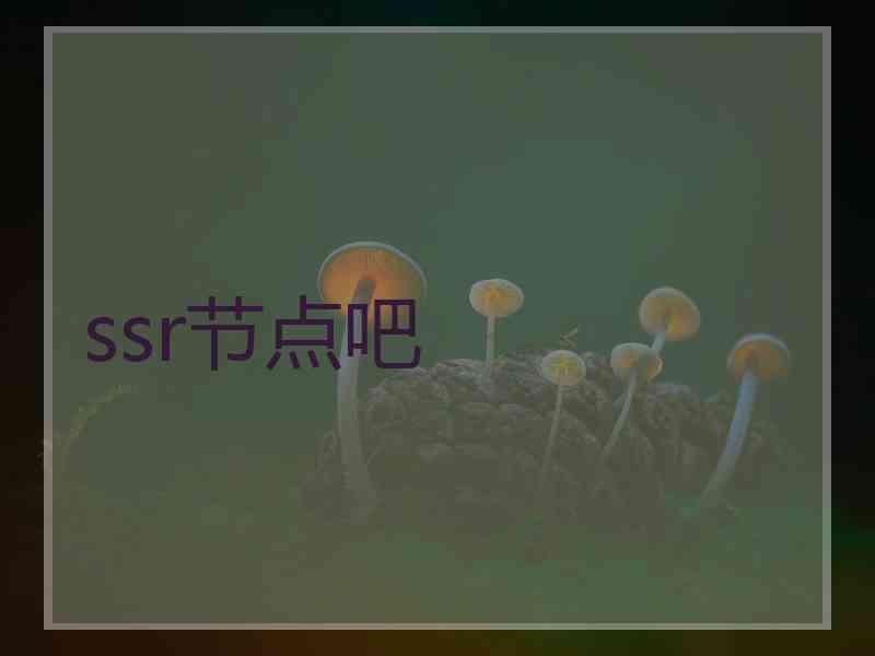 ssr节点吧