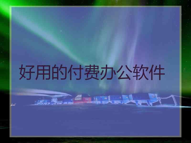 好用的付费办公软件